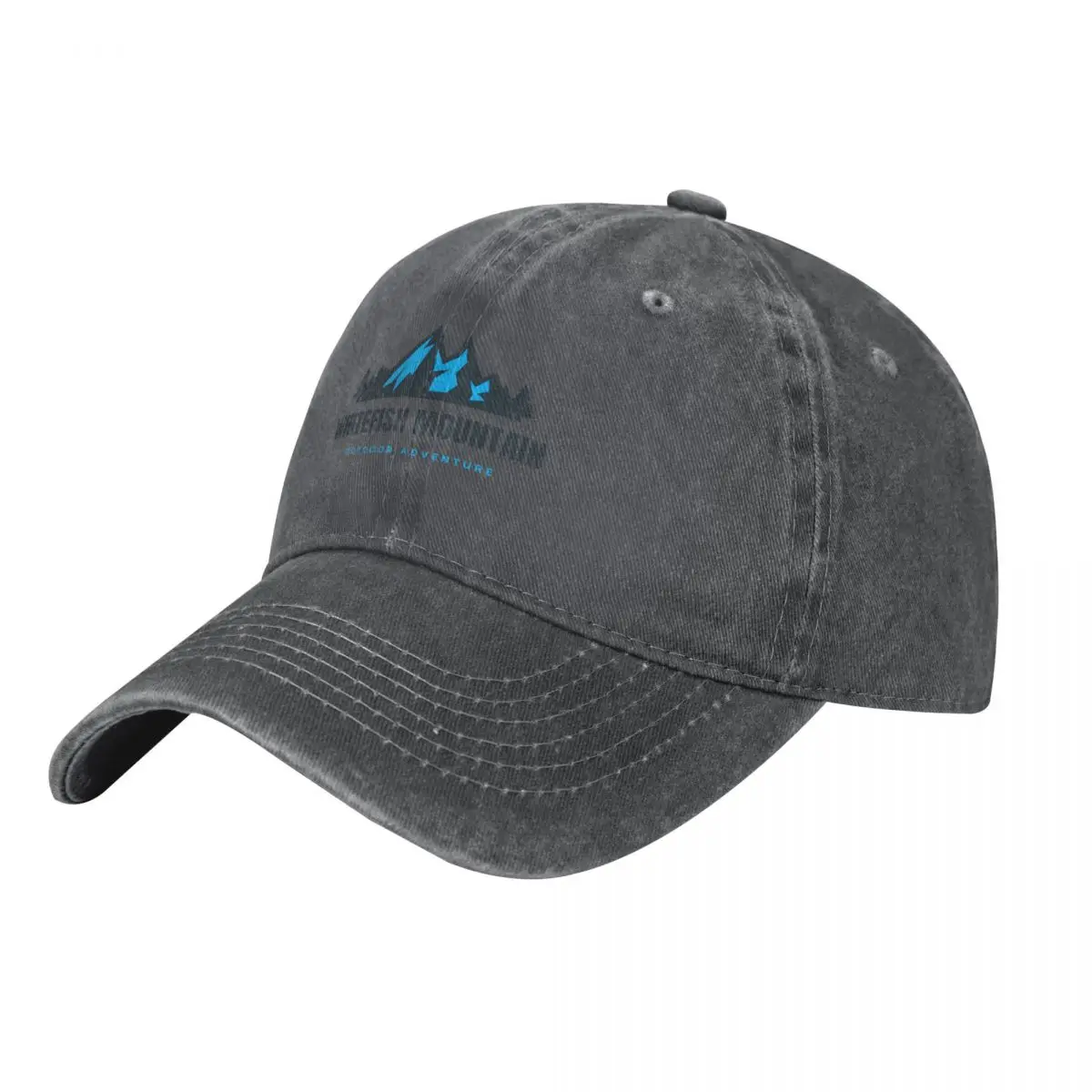 Whitefish Mountain in Montana, - Outdoor Adventure America ulasan dan harga